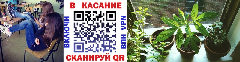 Купить A PVP  Кокаин  Меф  ГАШ  Стрежевой