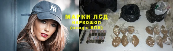 ГАЛЛЮЦИНОГЕННЫЕ ГРИБЫ Баксан