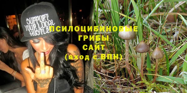 дмт Алексеевка