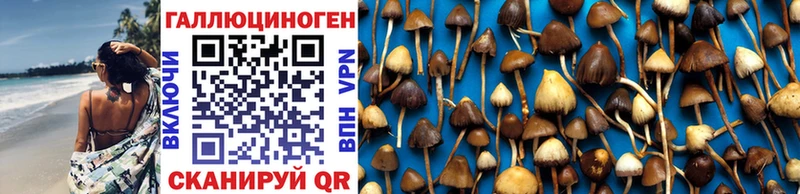 Псилоцибиновые грибы Psilocybe  Купить  Стрежевой 